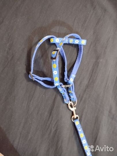 Поводок - шлейка для кошек и собак мелких пород