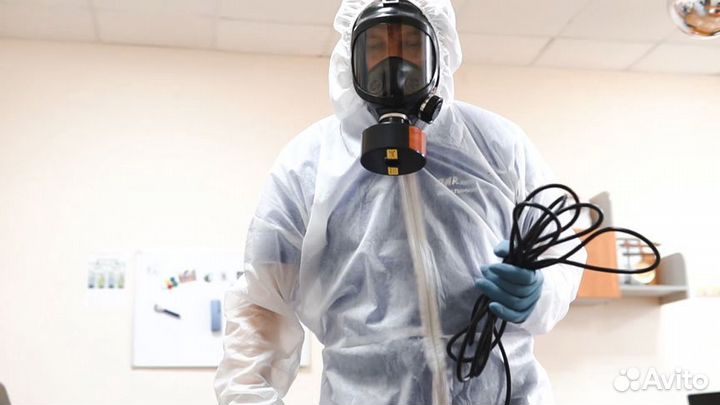 Уничтожение тараканов, клопов, блох, клещей