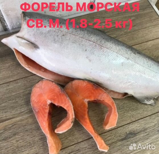 Форель морская св.мор