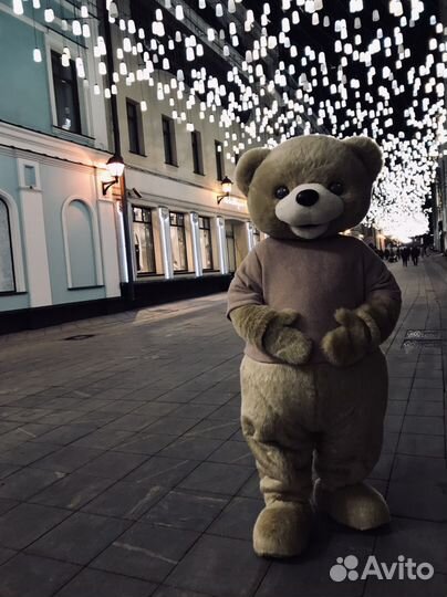 Мишка медведь поздравление белый