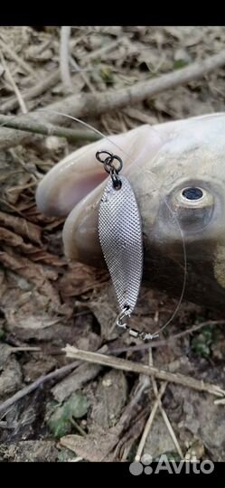 Блесна влади тип: Ivyline Vlayde