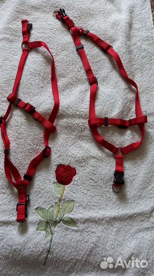 Товары для собак