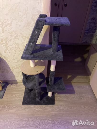 Когтеточка