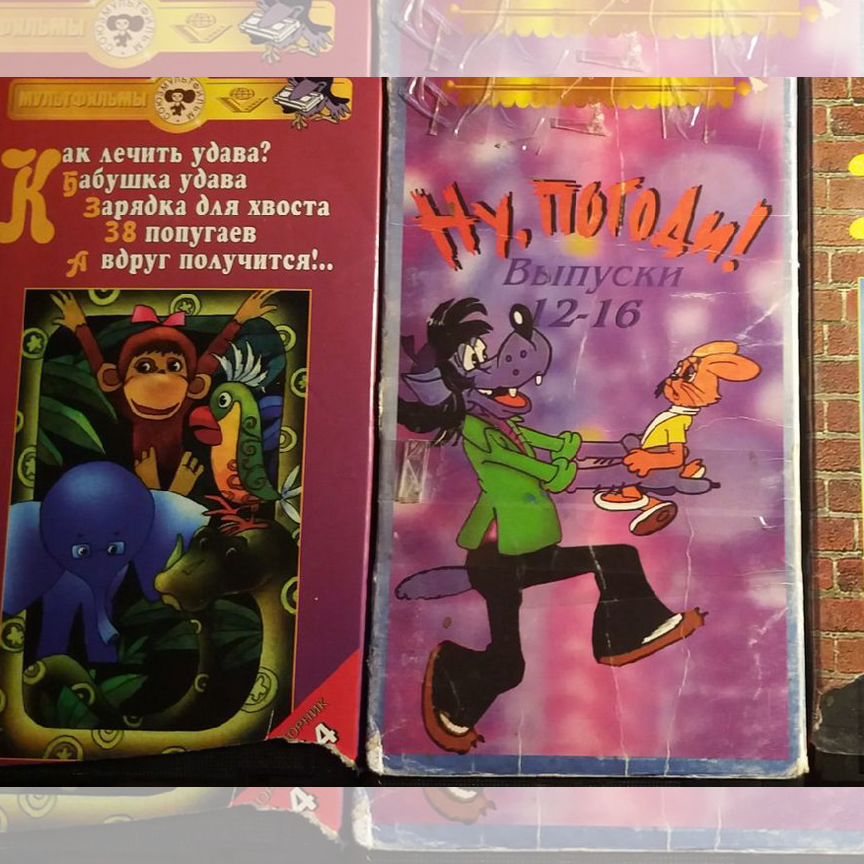 Олар орманға зәр шығарады