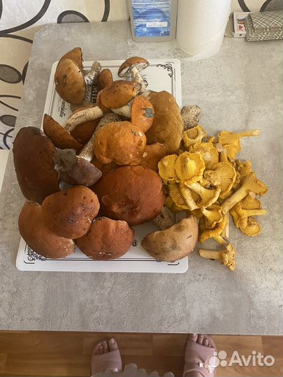 Отдам даром бесплатно