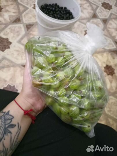 Черная смородина сладкая