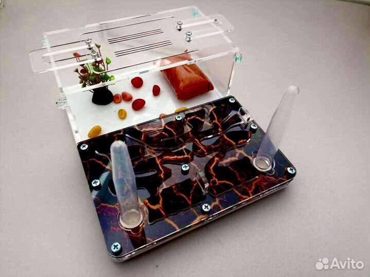 Муравьиная ферма с доставкой по РФ и муравьями