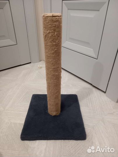 Когтеточка, лоток, миски