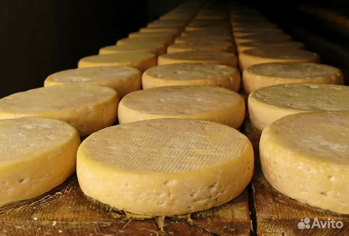 Упаковщик сырных головок. Подработка с ежедневной