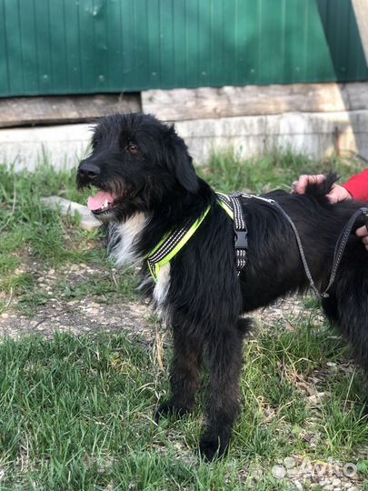 Ищем дом Кире