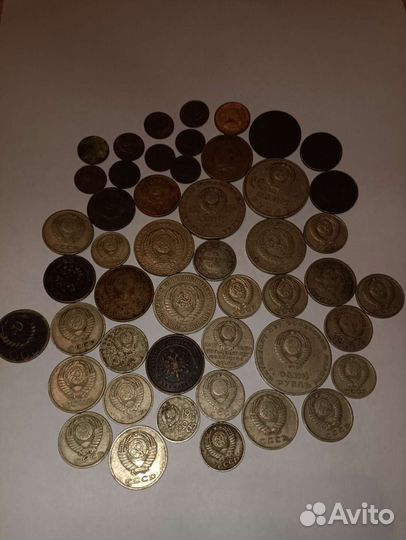 Монеты