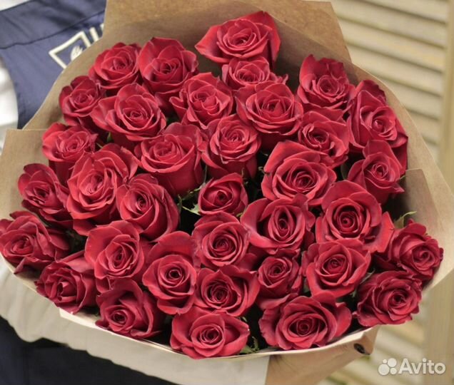 Цветы розы красные 41 шт крупные Explorer Доставка