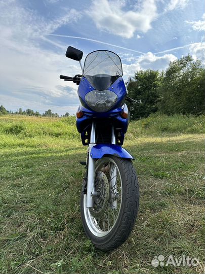 Suzuki XF 650 Freewind