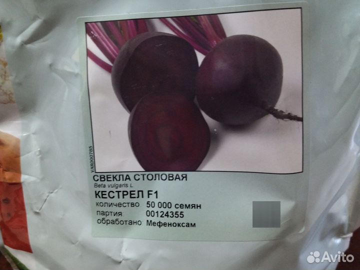 Семена свёклы столовой
