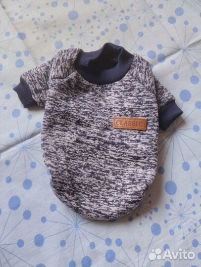 Одежда для маленьких пород собак