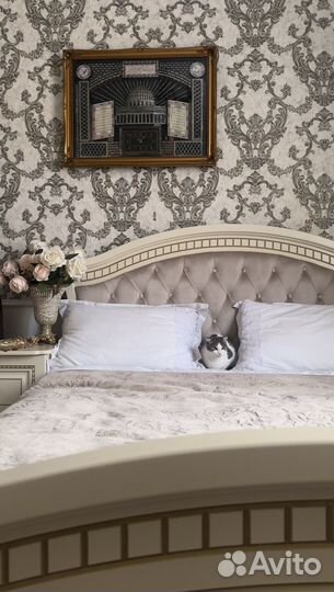 Котята в дар