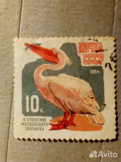 Марки СССР 1964 год. 100 лет зоопарку