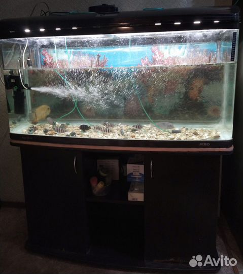 Аквариум Jebo 3126 300 литров