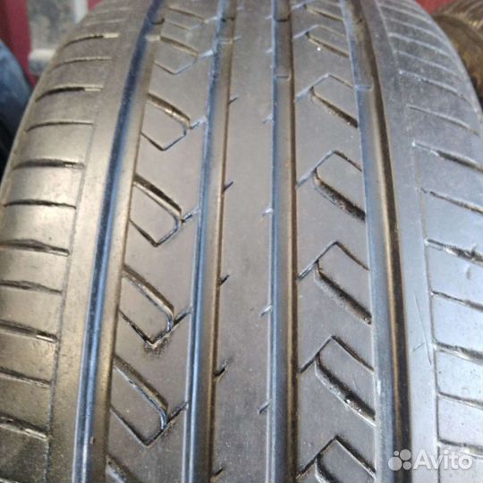 Rapid P309 205/55 R16