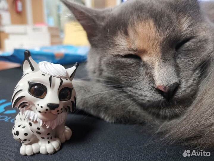 Глаза цвета 