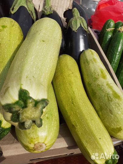 Доставка овощи и бакалея