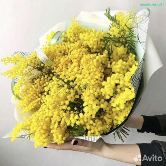 Букеты из мимозы (Арт.54700)