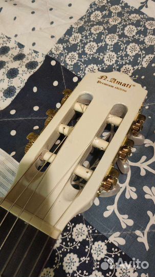 Гитара с зимним чехлом