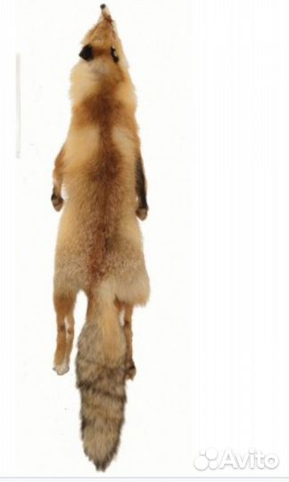 Шкура лисы рыжей 1шт