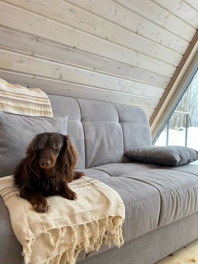 Дом 36 м² на участке 70 сот.