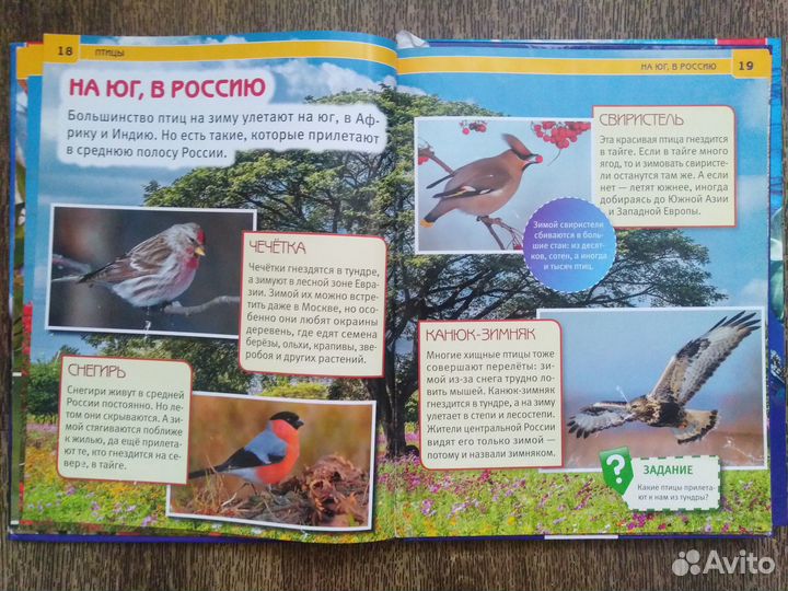 Энциклопедия с развивающими заданиями Птицы