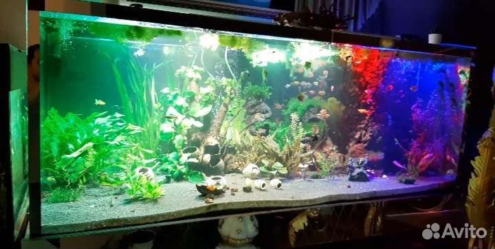Аквариум