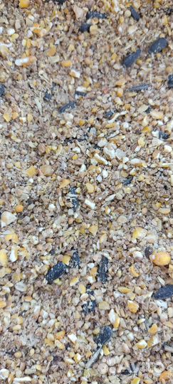 Комбикорм для птиц