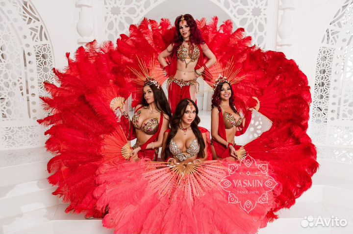 Восточные танцы, танец живота, шоу с питоном