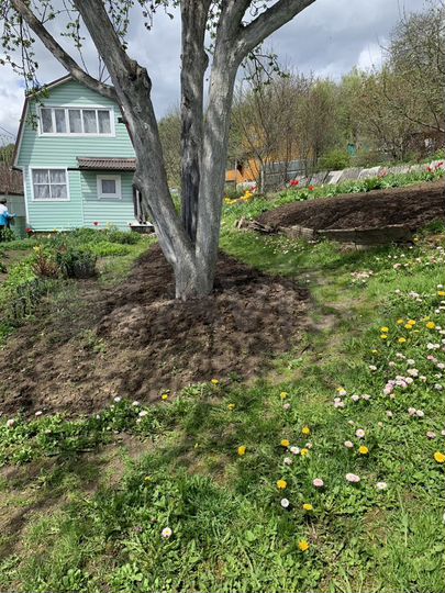 Дача 25 м² на участке 10 сот.