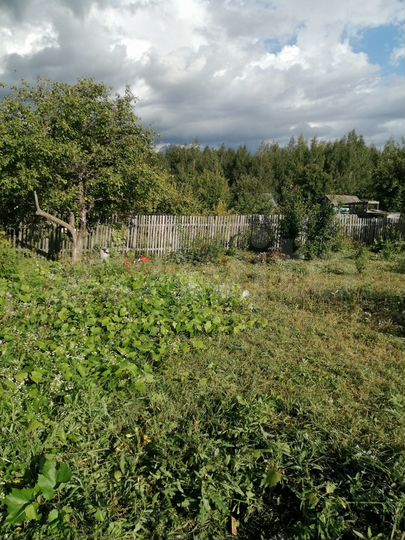 Участок 8 сот. (СНТ, ДНП)