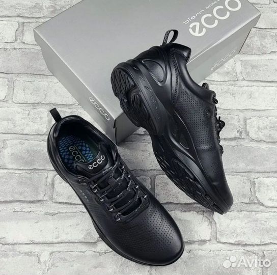 Кроссовки Ecco Biom