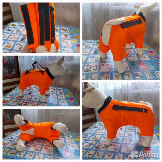 Костюм для маленькой собаки