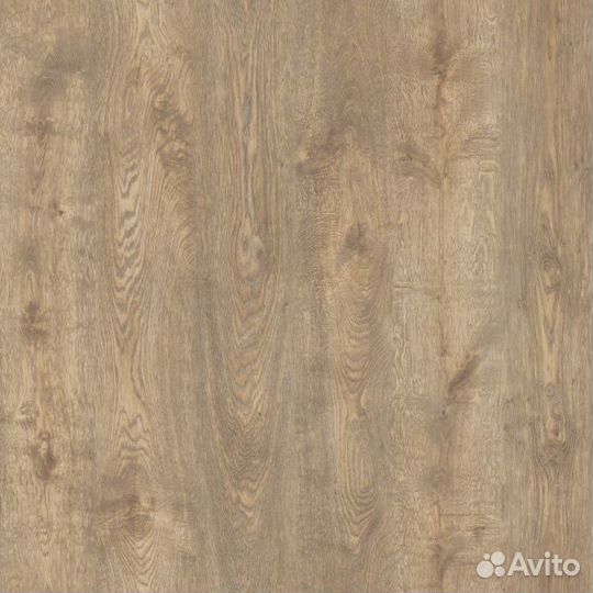 Плита мебельная 7249 Nevada Oak Ar 2440*1830*18 du