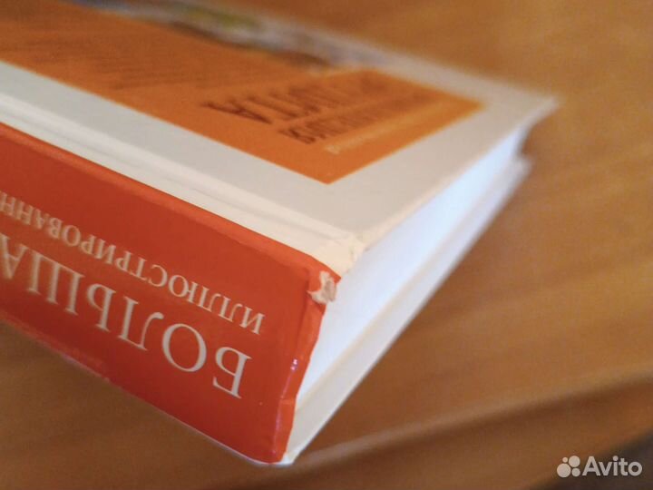 Большая иллюстрированная энциклопедия эрудита