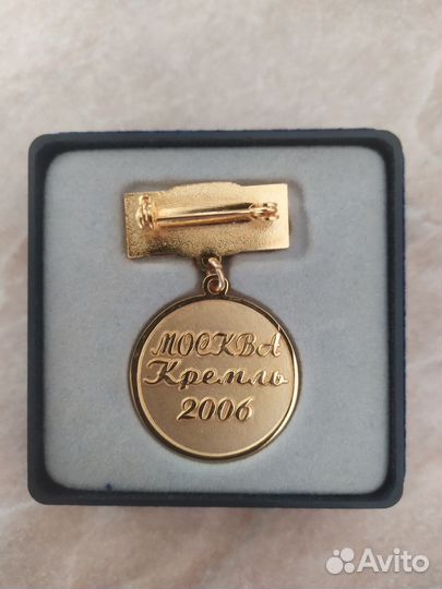 Значки Выпускник 2006 гкд