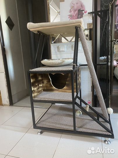 Когктеточка