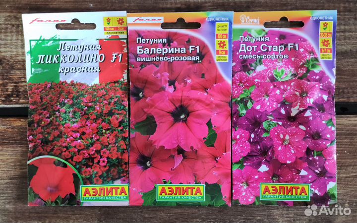 Семена Петунии