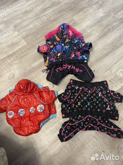 Одежда для маленькой собаки, сумка слинг