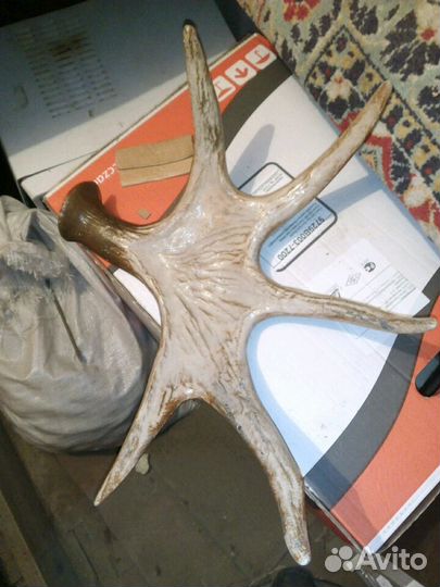 СССР декор для дома рога (имитация)