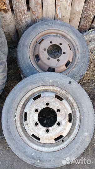 Viatti Strada Asimmetrico 175/70 R13