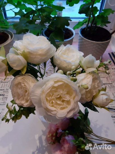 Интерьерные цветы