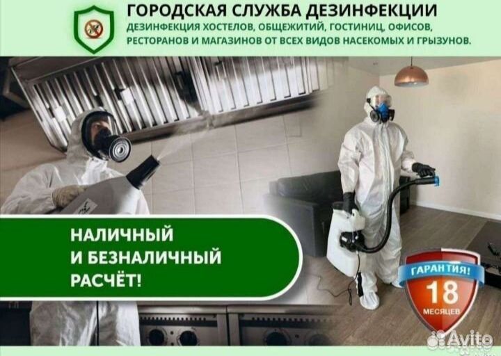 Уничтожение тараканов клопов мышей клещей плесени