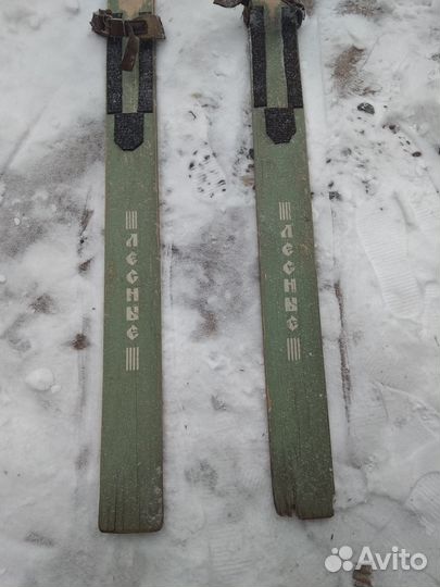 Лыжи Вологда