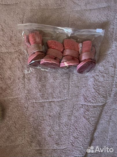 Одежда для маленьких пород собак