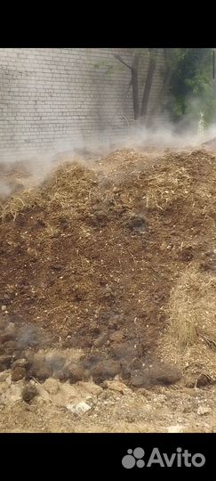 Конский навоз